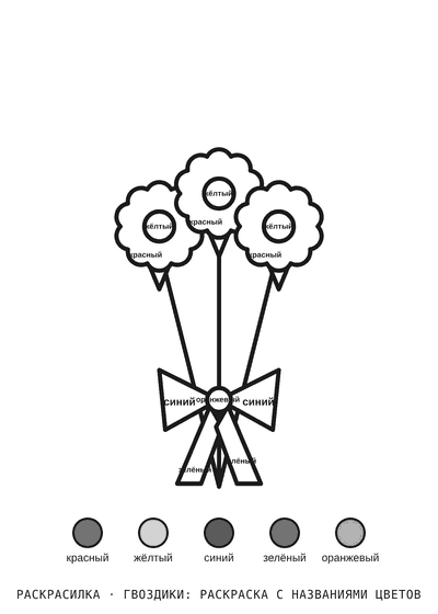 Раскраска Гвоздики: раскраска с названиями цветов